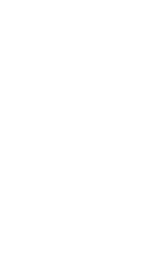 Web Mobile Digital Solutions